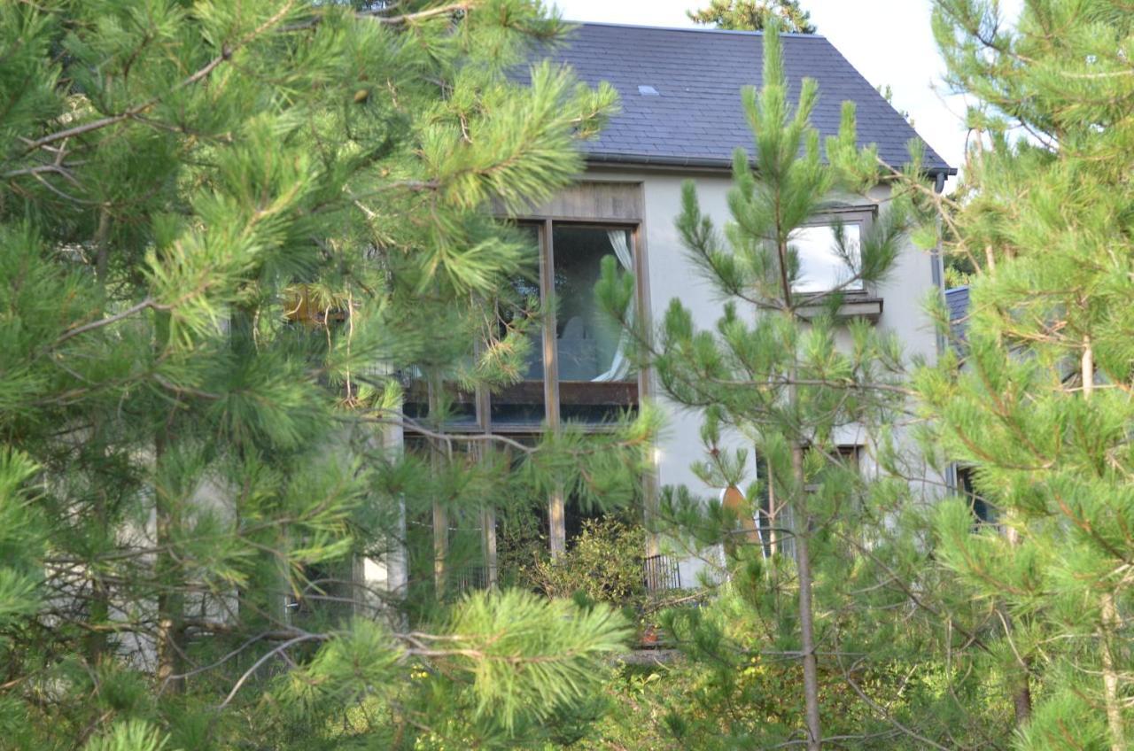 La Villa Dans Les Pins كويند المظهر الخارجي الصورة
